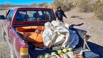 cazadores y pescadores furtivos cayeron con choiques y truchas en su poder cazadores y pescadores furtivos cayeron con choiques y truchas en su poder