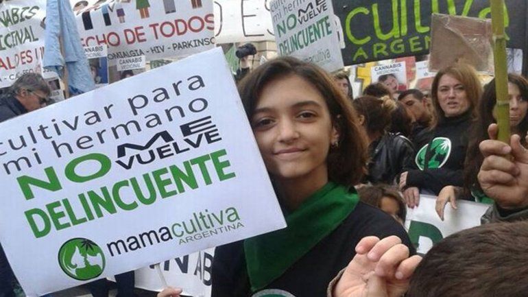 La ley no menciona el autocultivo pero tampoco lo prohíbe.