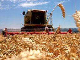 La prórroga cubrirá la nueva campaña fina, cuya siembra está comenzando en varias regiones del país. La prórroga cubrirá la nueva campaña fina, cuya siembra está comenzando en varias regiones del país.