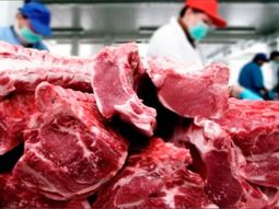 Tras la flexibilización de la barrera el asado se puso acorde a los precios del norte; pero no ocurre lo mismo con el resto de los cortes. Tras la flexibilización de la barrera el asado se puso acorde a los precios del norte; pero no ocurre lo mismo con el resto de los cortes.