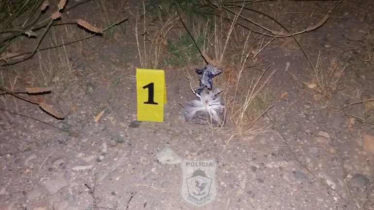 Intervino personal de Antinarcóticos y secuestraron la droga.