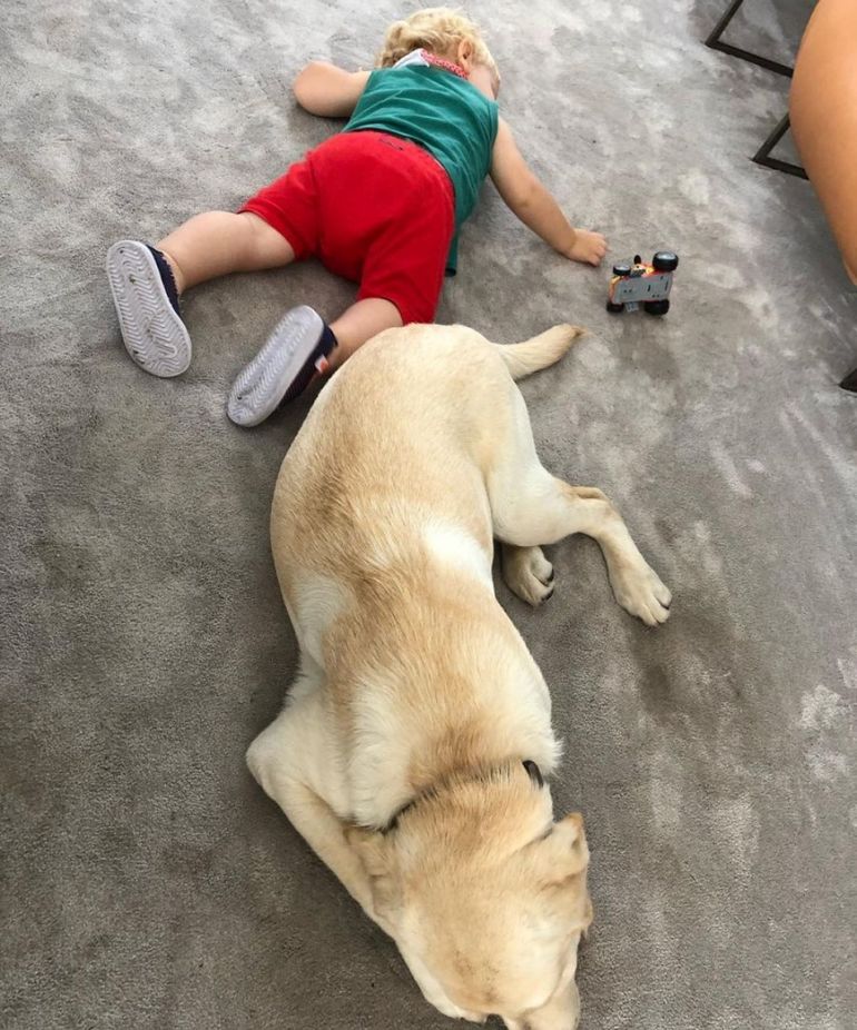 Mirko y Bailey Mirko y Bailey