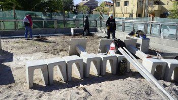 los perros tendran plaza propia en santa genoveva los perros tendran plaza propia en santa genoveva