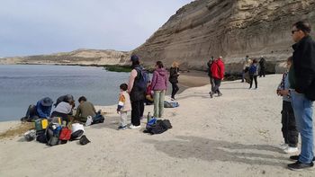 Chubut: encontraron restos fósiles de un pez de 10 millones de años. Chubut: encontraron restos fósiles de un pez de 10 millones de años.