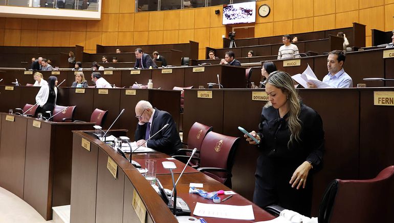 Carina Riccomini fue la diputada que más faltó a las sesiones en 2025. Carina Riccomini fue la diputada que más faltó a las sesiones en 2025.