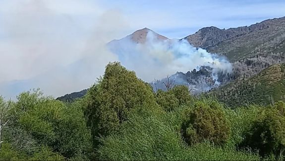 Por el rápido avance de las llamas en la parte alta del Parque Nacional Los Alerces, se decidió que el opoerativo de combate del fuego no se interrumpiera de noche.&nbsp;