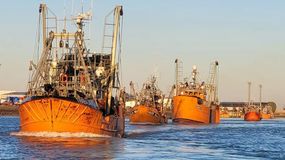 En menos de un mes murieron tres marineros en alta mar: alerta en la flota pesquera de la Patagonia.