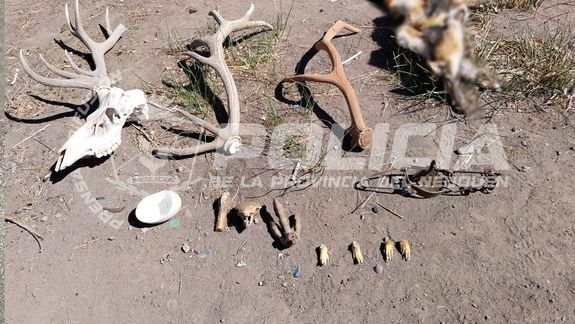 Las municiones y restos de animales estaban en una vivienda del norte neuquino.