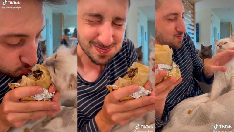 TikTok: se distrajo y su gatito se comió su comida.
