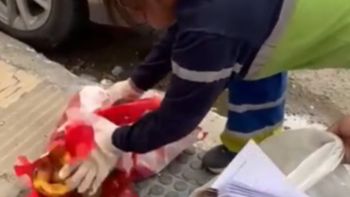 Una barrendera levantó el misterioso paquete con frutas que llamo la atención de la gente que hacía sus compras de Navidad. Una barrendera levantó el misterioso paquete con frutas que llamo la atención de la gente que hacía sus compras de Navidad.