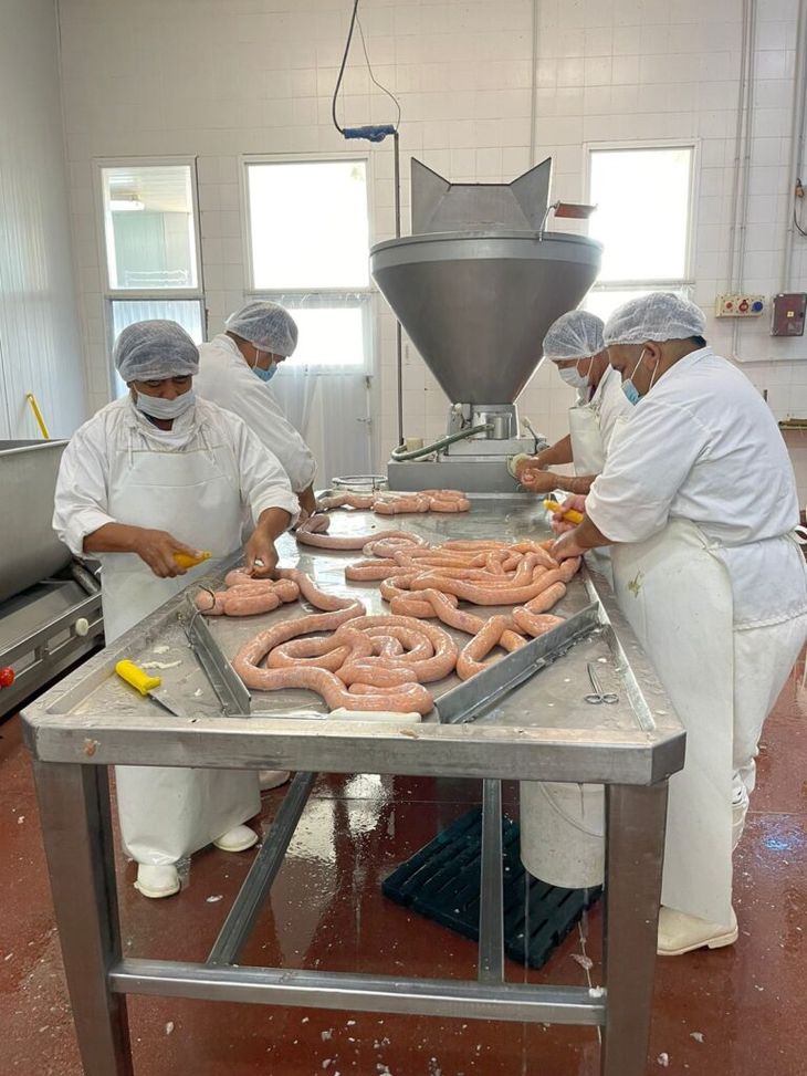 Actualmente trabajan 120 operarios y se producen 250 toneladas mensuales. Actualmente trabajan 120 operarios y se producen 250 toneladas mensuales.