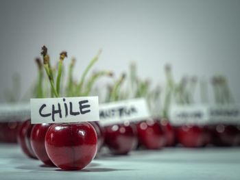 comenzo la batalla legal por la perdida de los 1.300 contenedores de cerezas chilenas