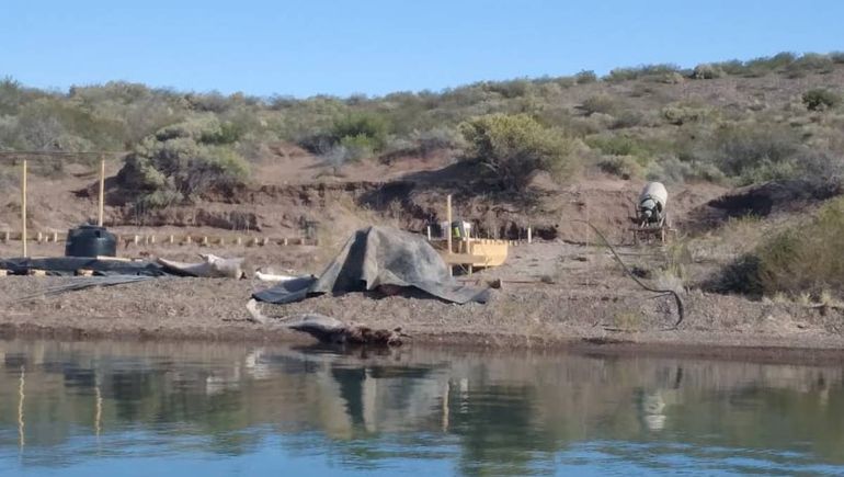 El intendente de Picún Leufú denunció que construyen en una isla protegida