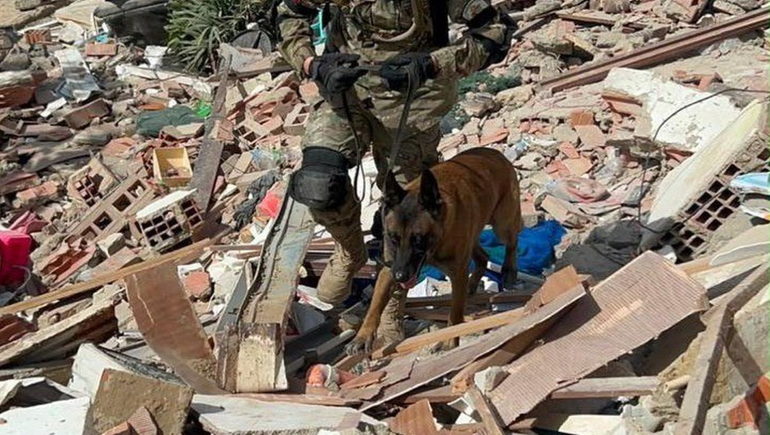 El perro argentino fue reconocido por las autoridades de Venezuela.