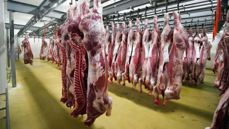 El valor de las exportaciones creci&oacute; muy por encima de los vol&uacute;menes, en un contexto de fuerte recuperaci&oacute;n de las cotizaciones internacionales.