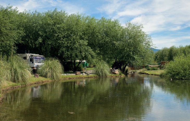 Terreno virgen: En 2009, la tierra comprada a 7 km de Trevelín solo tenía plantas de rosa mosqueta. Terreno virgen: En 2009, la tierra comprada a 7 km de Trevelín solo tenía plantas de rosa mosqueta.