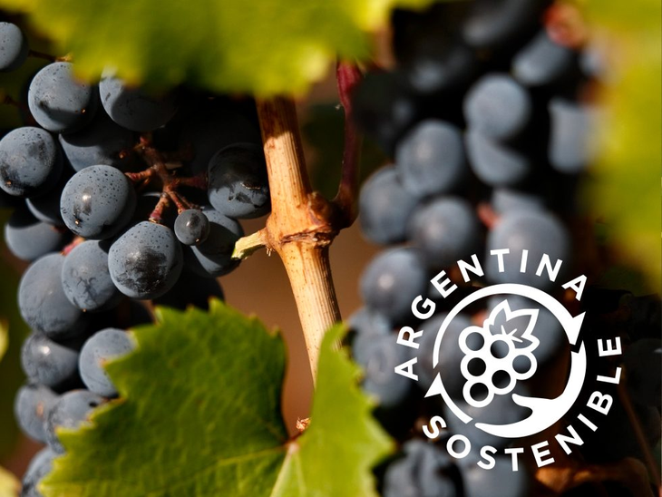 La certificación en un atributo diferenciador real.