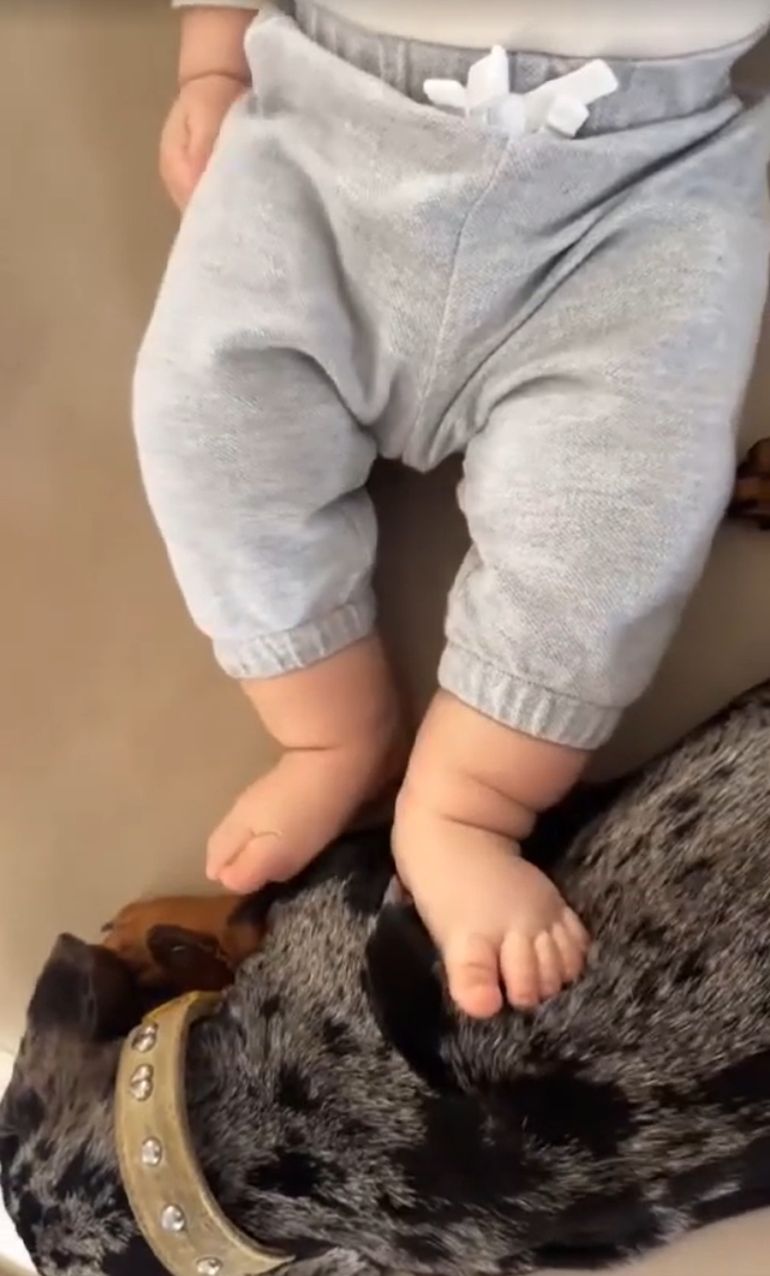 El tierno momento de Cruz Urcera con Lola, la mascota de Nicole Neuman El tierno momento de Cruz Urcera con Lola, la mascota de Nicole Neuman