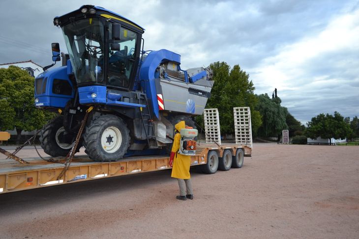 No se debe dejar remanentes de fruta en la planta ni en el suelo. Foto: Senasa No se debe dejar remanentes de fruta en la planta ni en el suelo. Foto: Senasa
