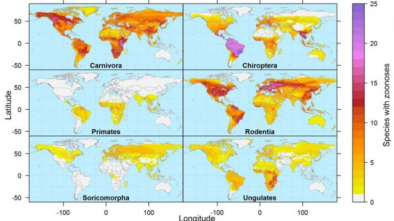 Investigadores de EE. UU. han elaborado un mapa global de las zoonosis.