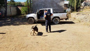 un cunado de munoz va a juicio por encubrimiento un cunado de munoz va a juicio por encubrimiento