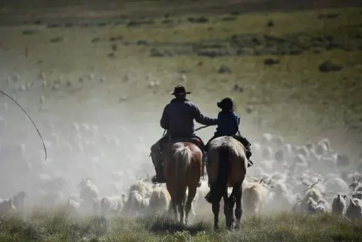 Fascinante video: así son los arreos en el Norte neuquino