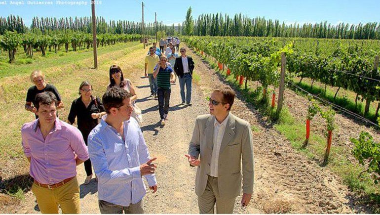 Contra viento y marea: el trabajo incansable de una bodega de más de 70 años que sigue elaborando vinos de calidad para su clientela fiel del Valle