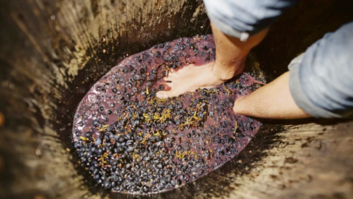 Pisar o no pisar las uvas