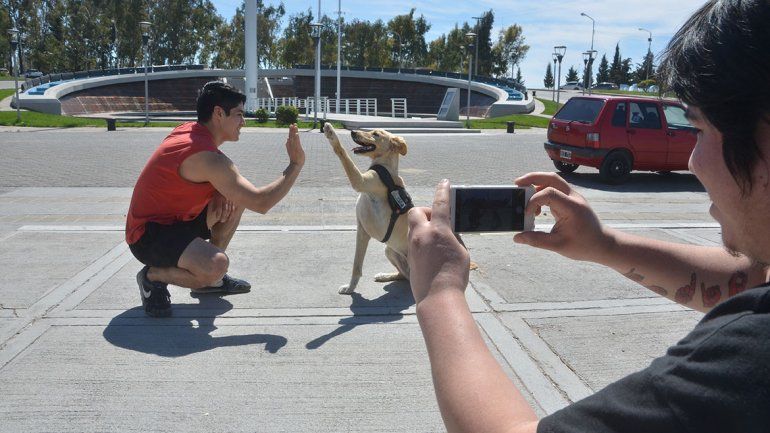 El smartphone mató la venta de  la cámara familiar