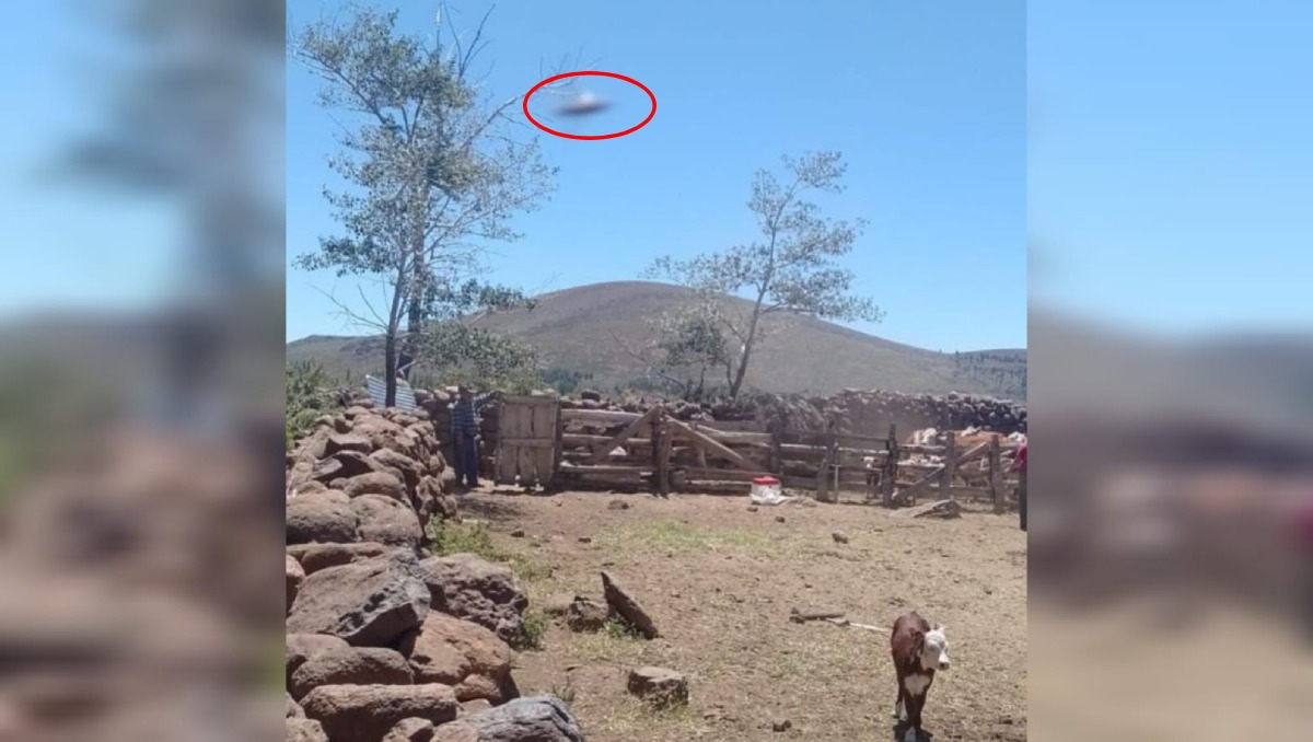 Viral: pasaba un hermoso día en familia y fotografió a un ovni en el norte neuquino