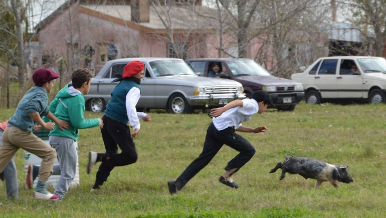 Chancho enjabonado y corrida de gallinas: polémica ordenanza aprobada en Mendoza
