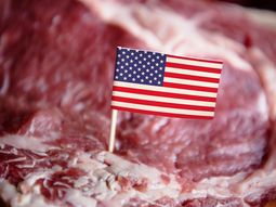 Estados Unidos volvió a posicionarse como un socio comercial de peso para las exportaciones argentinas. Estados Unidos volvió a posicionarse como un socio comercial de peso para las exportaciones argentinas.