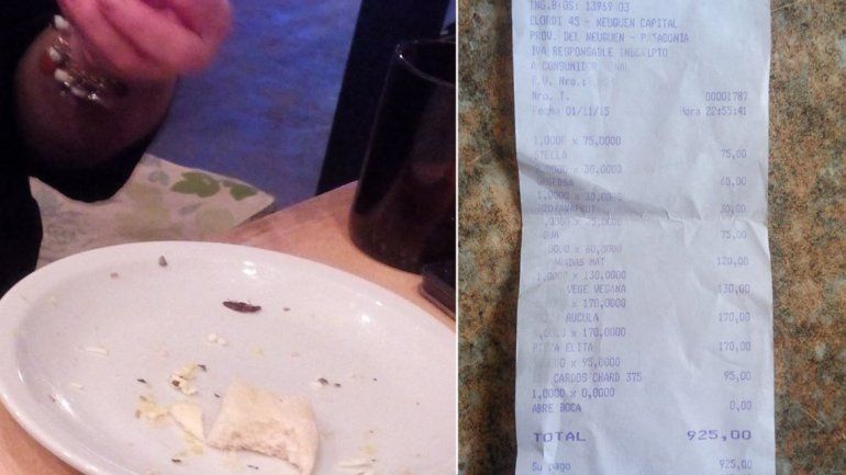 Disfrutaba de una pizza en el centro hasta que mordió una cucaracha en la de fugazza