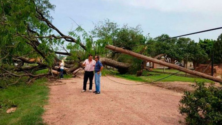 Por el tornado se registraron 40 voladuras de techos y 150 árboles caídos.