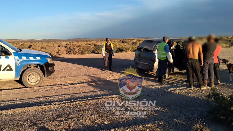 Cazaban choiques con galgos y cayeron tras una persecución