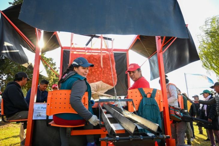 Lo que propone es minimizar los riesgos de salud de quienes trabajan en la postcosecha de cebolla Lo que propone es minimizar los riesgos de salud de quienes trabajan en la postcosecha de cebolla