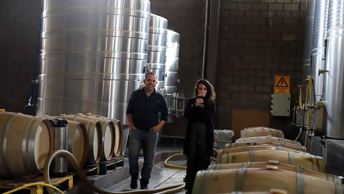 La increíble historia del viñedo neuquino que salvaron los zorros y florece en la arena
