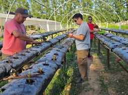 El CFPA Nº1 se convirtió en un semillero de oficios, emprendimientos y proyectos de vida. El CFPA Nº1 se convirtió en un semillero de oficios, emprendimientos y proyectos de vida.