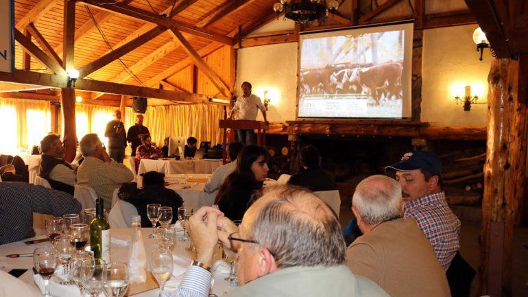 Con 1370 animales se realizó un nuevo remate televisado