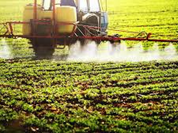 El estudio en Proceedings of the Royal Society B alerta sobre la brecha de plaguicidas en la región. El estudio en Proceedings of the Royal Society B alerta sobre la brecha de plaguicidas en la región.