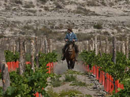 Felipe Menéndez se decidió por Valle Azul. Foto: LN Felipe Menéndez se decidió por Valle Azul. Foto: LN