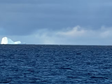 La verdad sobre el iceberg negro: un bloque de hielo visto en Canadá despertó preocupación