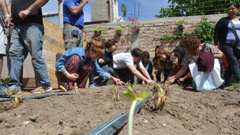 El interés por la frutilla no es sólo a nivel productivo