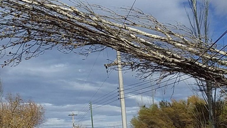 La tormenta produjo un apagón en Cipolletti y Fernández Oro