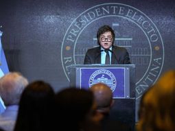 “Venimos a hacer lo mismo que hicieron países como Irlanda hace no tanto tiempo”, dijo Milei.