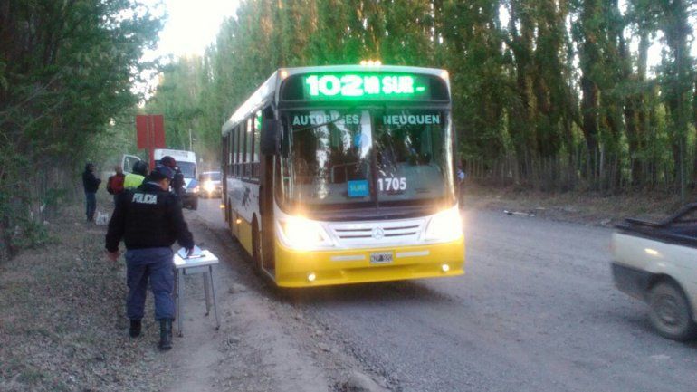 Palladino aseguró que el servicio de transporte es normal