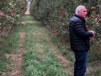 hugo sanchez y sus memorias de medio siglo en la fruticultura