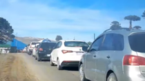 Largas filas se veían en horas de la mañana en Pino Hachado para cruzar a Chile Largas filas se veían en horas de la mañana en Pino Hachado para cruzar a Chile