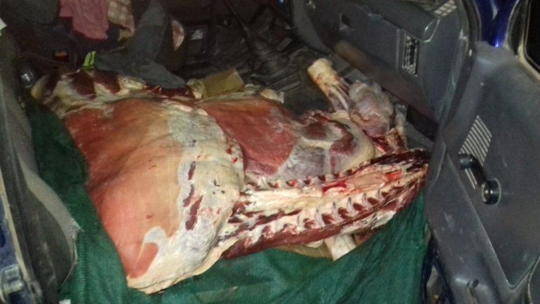 Llevaban un ternero faenado en un auto de Mendoza a Rincón de los Sauces