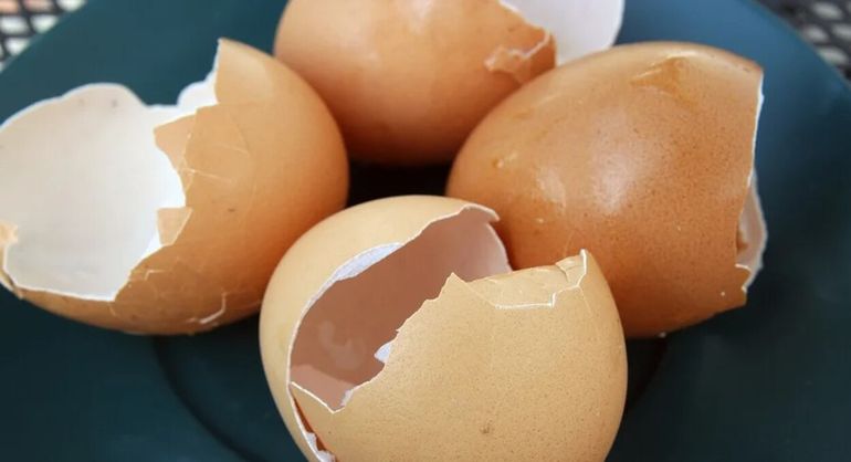 El truco infalible para limpiar ollas y sartenes con cáscara de huevos